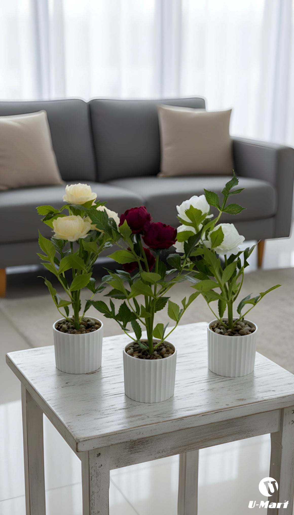 Pot Flowers
