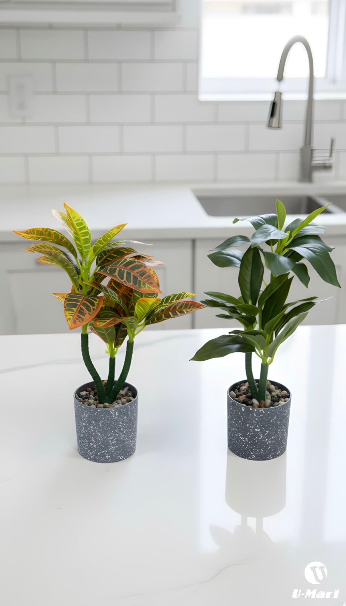 Artificial Leaves
