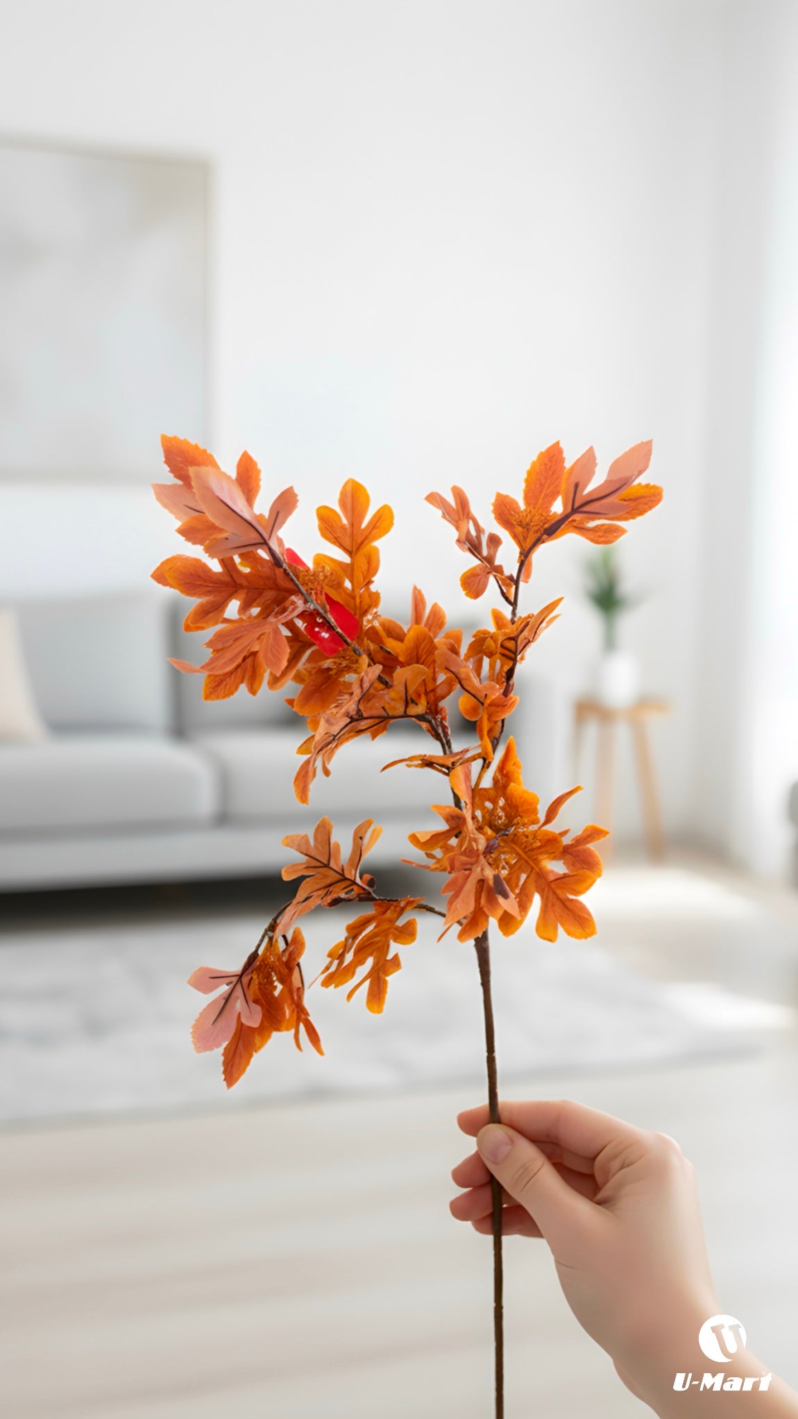 Single Autumn Leaves Stem