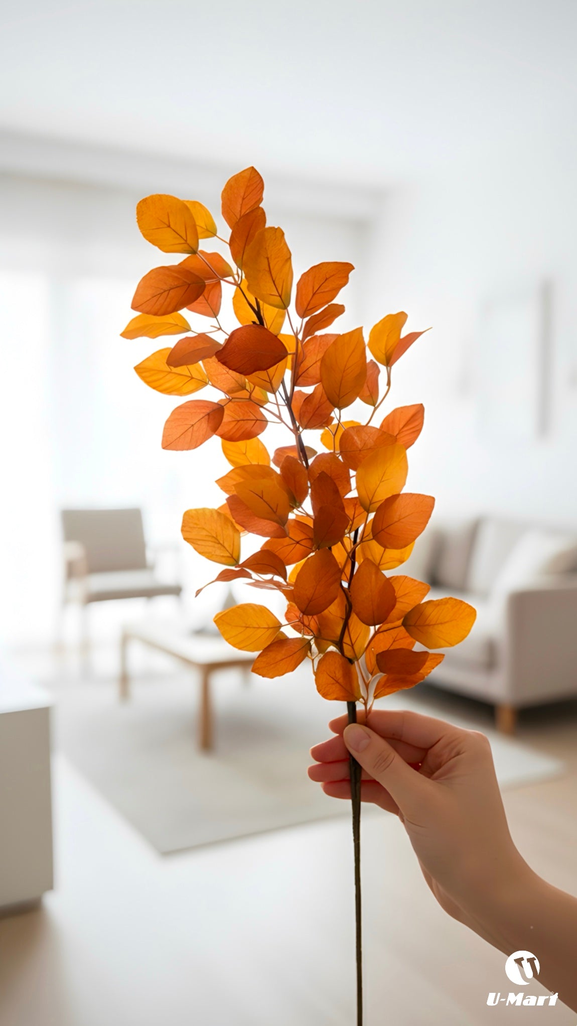 Single Fall Leaves Stem