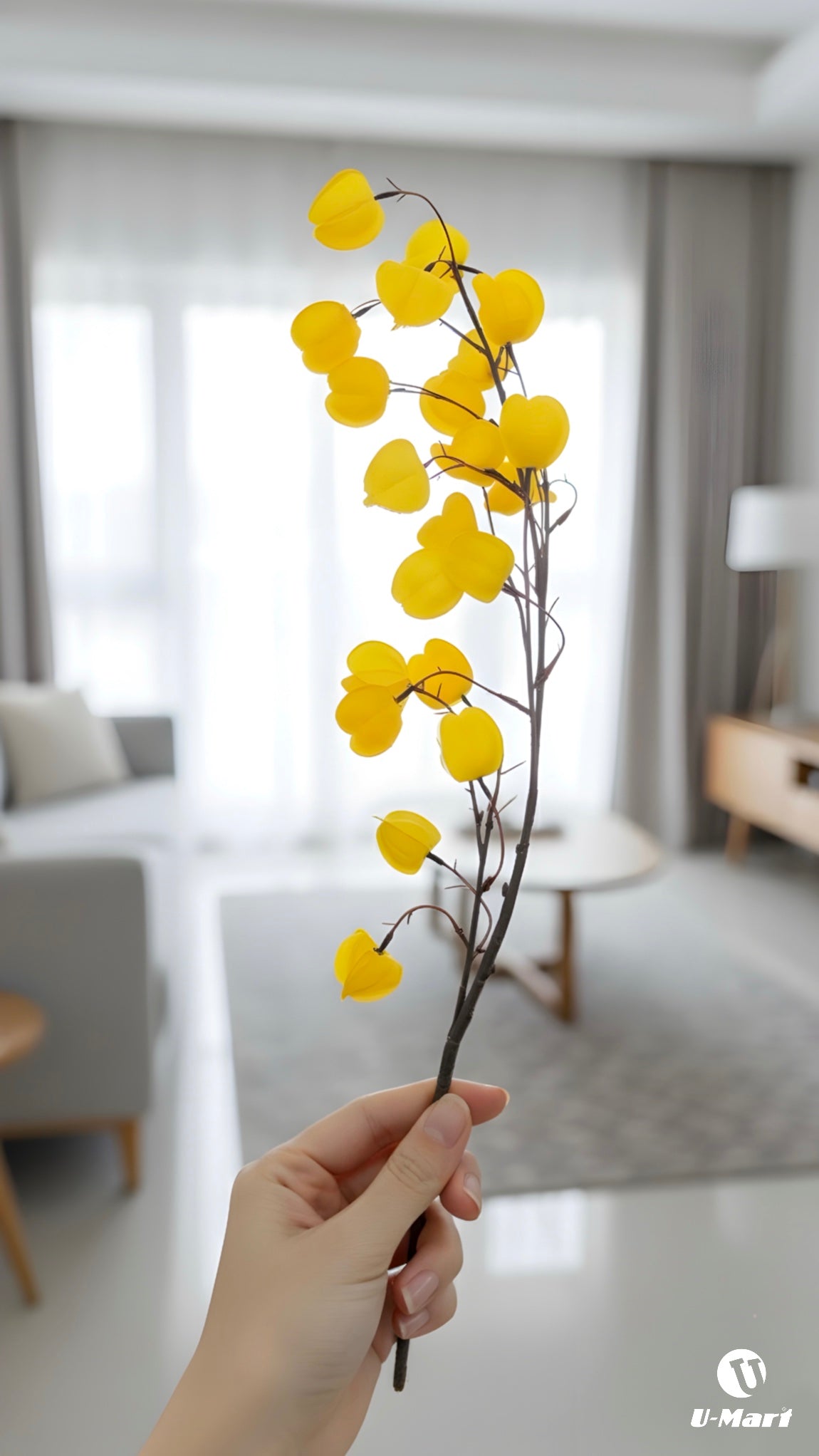 Single Yellow Flower Stem