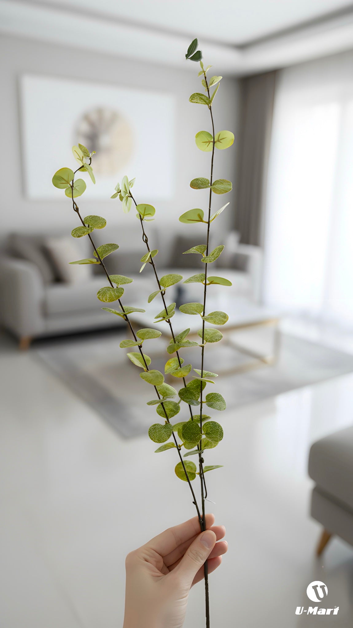 Single Green Leaves Stem