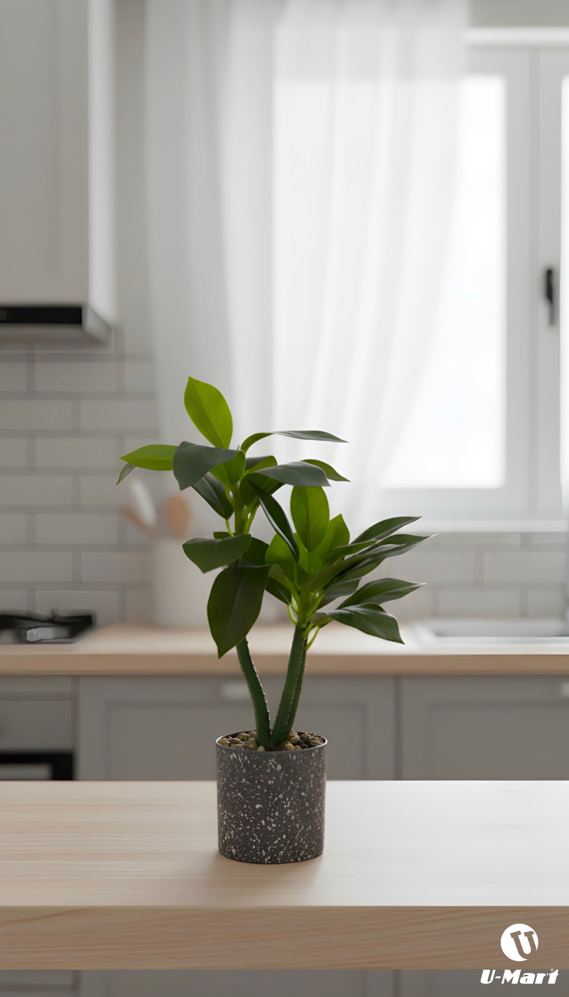 Artificial Leaves