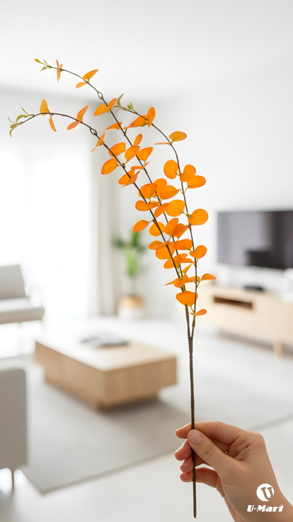 Single Orange Leaves Stem