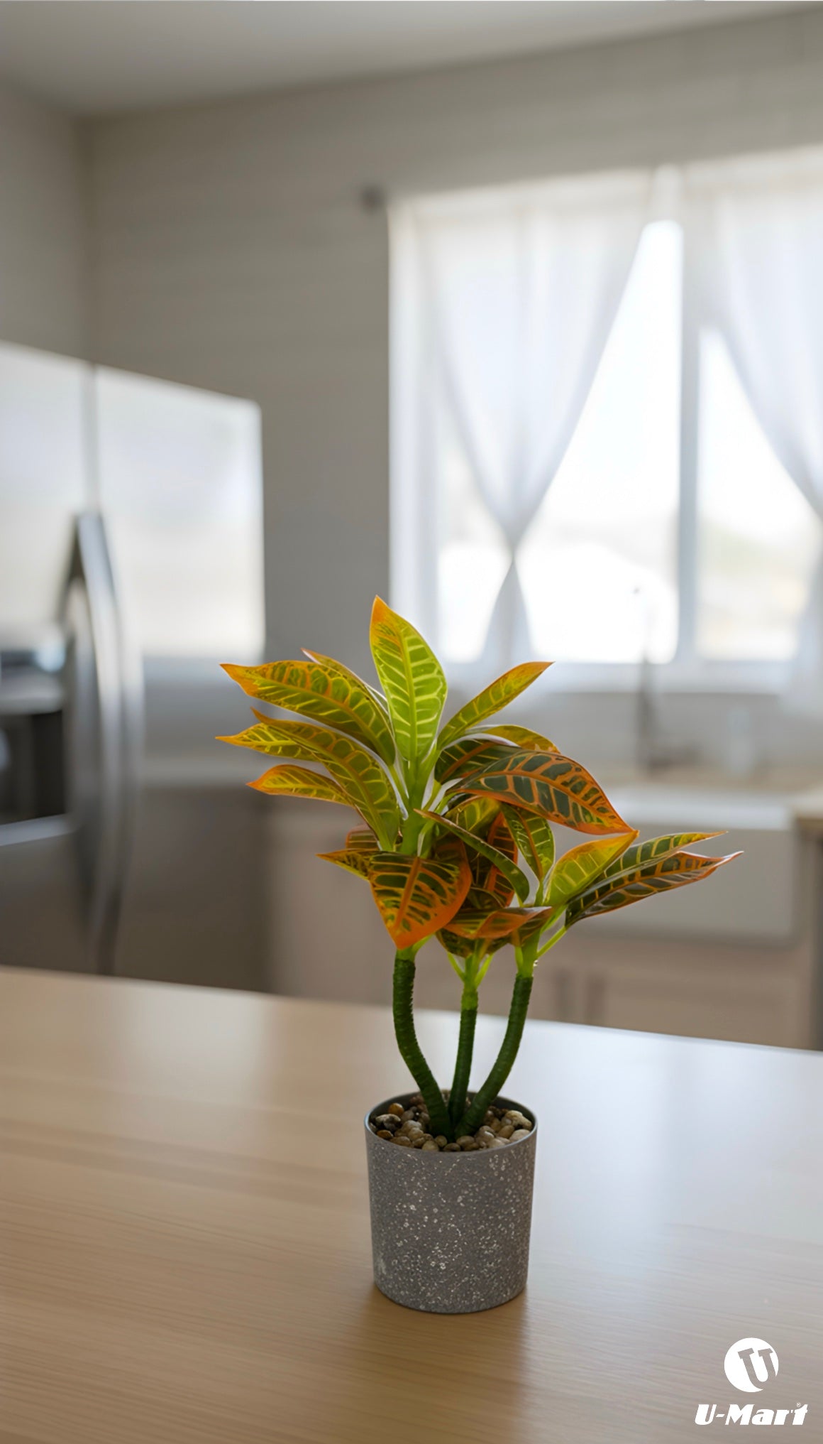 Artificial Leaves