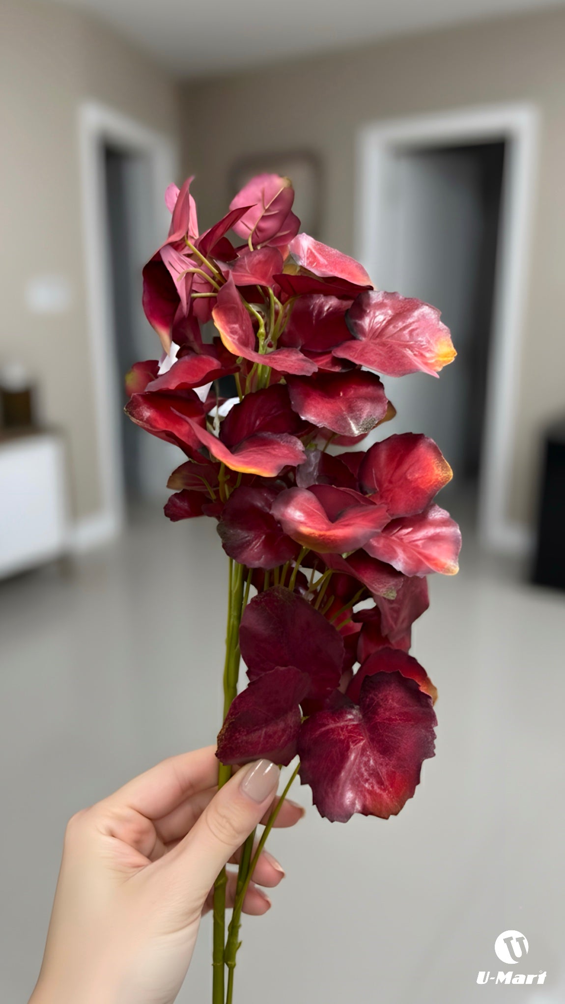 Single Maroon Flower Stem